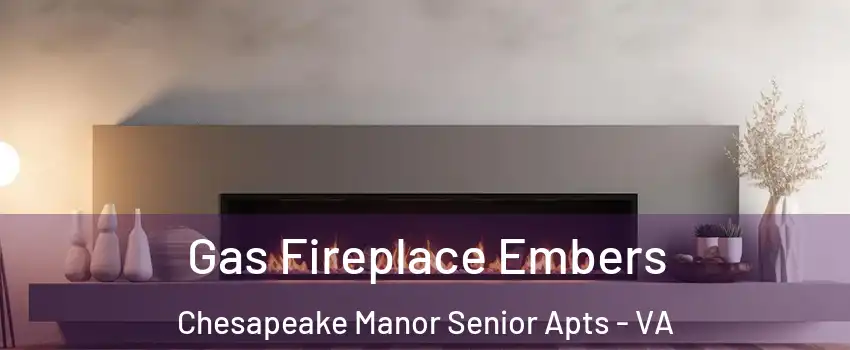Gas Fireplace Embers Chesapeake Manor Senior Apts - VA