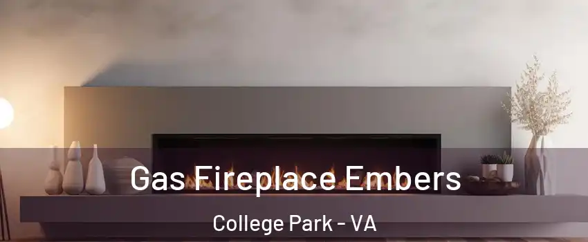 Gas Fireplace Embers College Park - VA