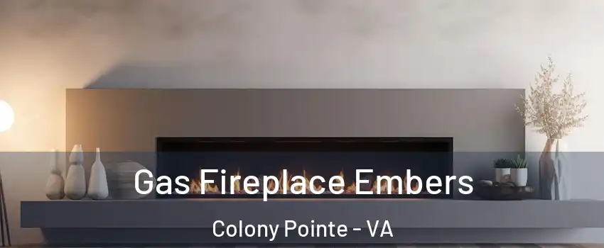 Gas Fireplace Embers Colony Pointe - VA