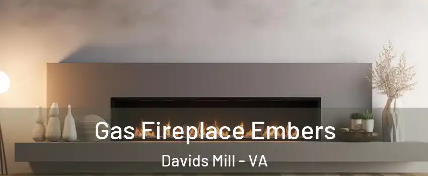 Gas Fireplace Embers Davids Mill - VA