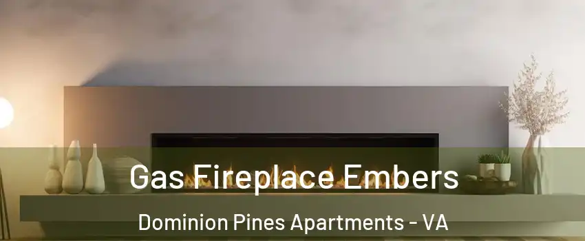 Gas Fireplace Embers Dominion Pines Apartments - VA