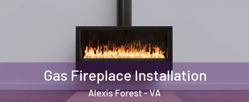 Gas Fireplace Installation Alexis Forest - VA