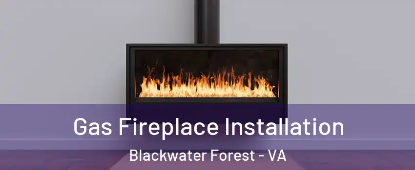 Gas Fireplace Installation Blackwater Forest - VA