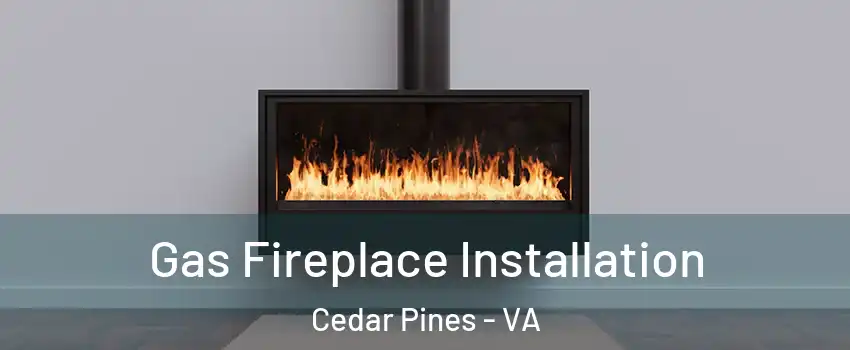 Gas Fireplace Installation Cedar Pines - VA