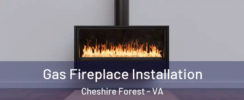 Gas Fireplace Installation Cheshire Forest - VA