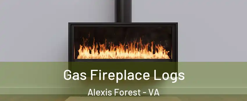 Gas Fireplace Logs Alexis Forest - VA