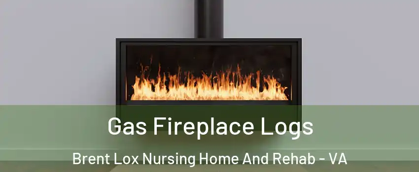 Gas Fireplace Logs Brent Lox Nursing Home And Rehab - VA