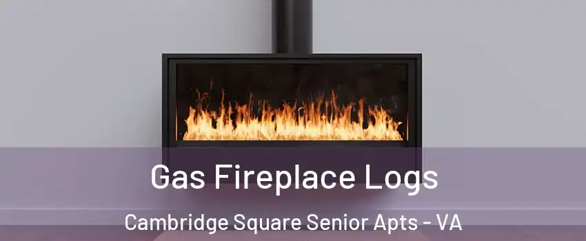 Gas Fireplace Logs Cambridge Square Senior Apts - VA