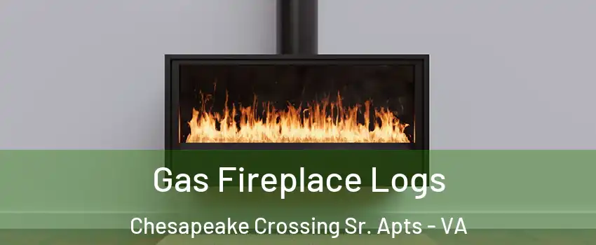 Gas Fireplace Logs Chesapeake Crossing Sr. Apts - VA