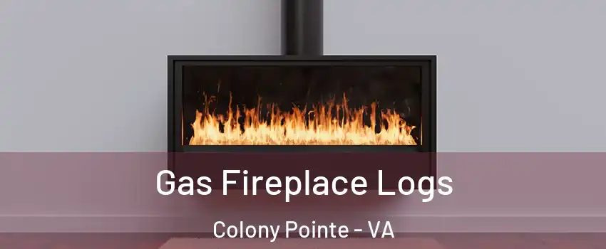 Gas Fireplace Logs Colony Pointe - VA