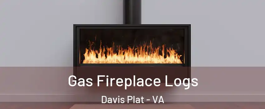 Gas Fireplace Logs Davis Plat - VA