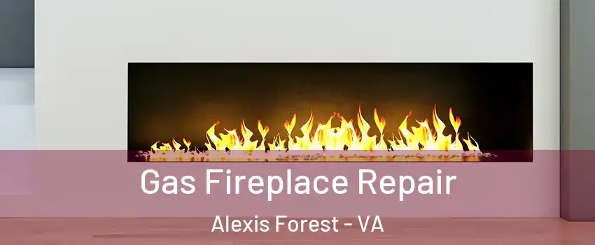 Gas Fireplace Repair Alexis Forest - VA