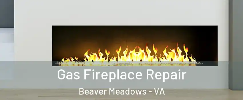 Gas Fireplace Repair Beaver Meadows - VA