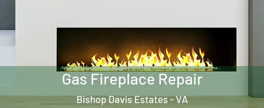 Gas Fireplace Repair Bishop Davis Estates - VA