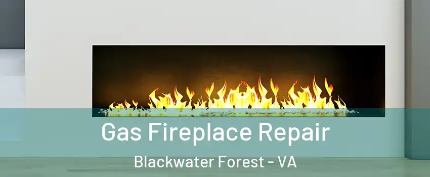 Gas Fireplace Repair Blackwater Forest - VA