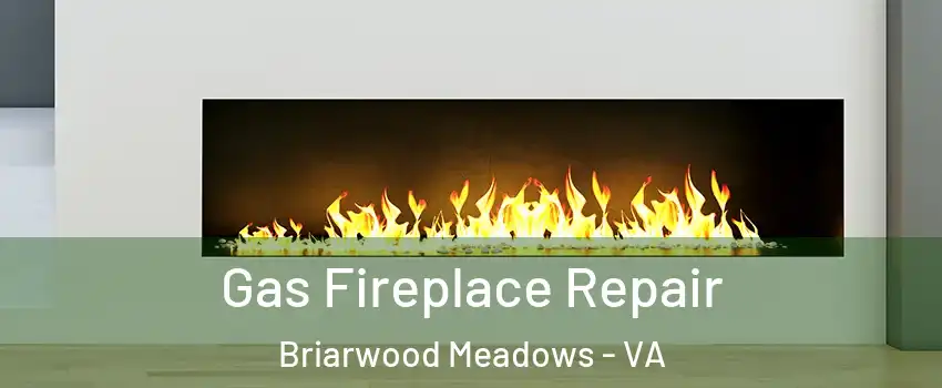 Gas Fireplace Repair Briarwood Meadows - VA