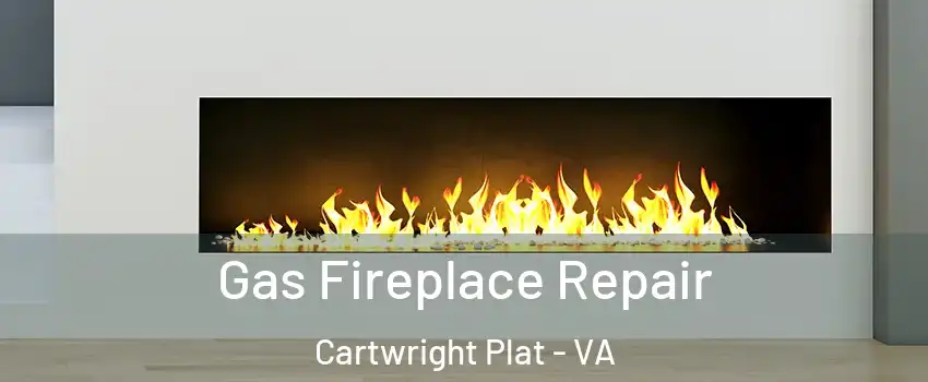 Gas Fireplace Repair Cartwright Plat - VA