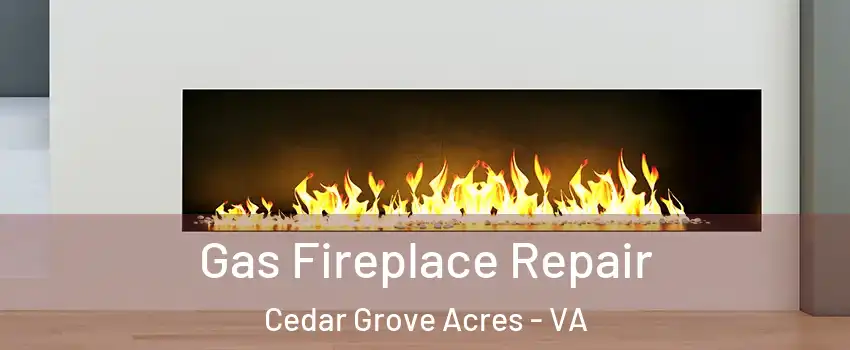 Gas Fireplace Repair Cedar Grove Acres - VA