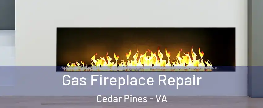 Gas Fireplace Repair Cedar Pines - VA