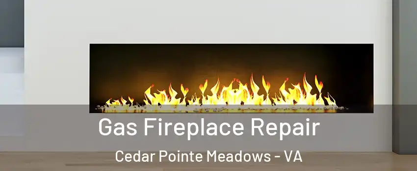 Gas Fireplace Repair Cedar Pointe Meadows - VA