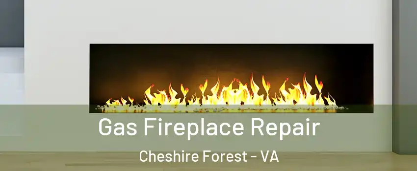 Gas Fireplace Repair Cheshire Forest - VA