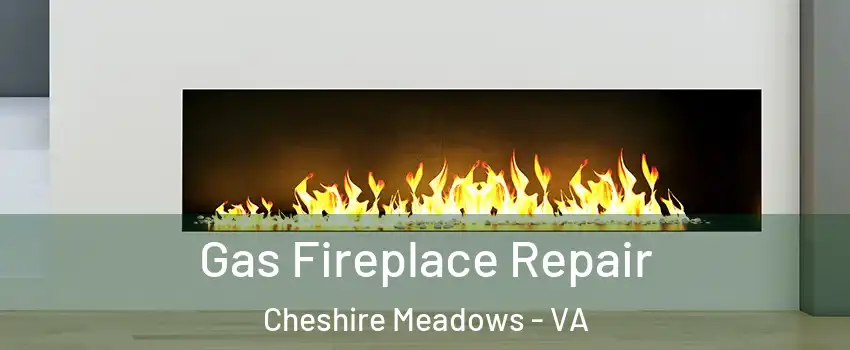 Gas Fireplace Repair Cheshire Meadows - VA