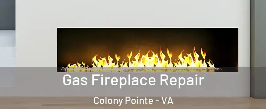 Gas Fireplace Repair Colony Pointe - VA