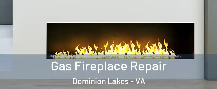 Gas Fireplace Repair Dominion Lakes - VA