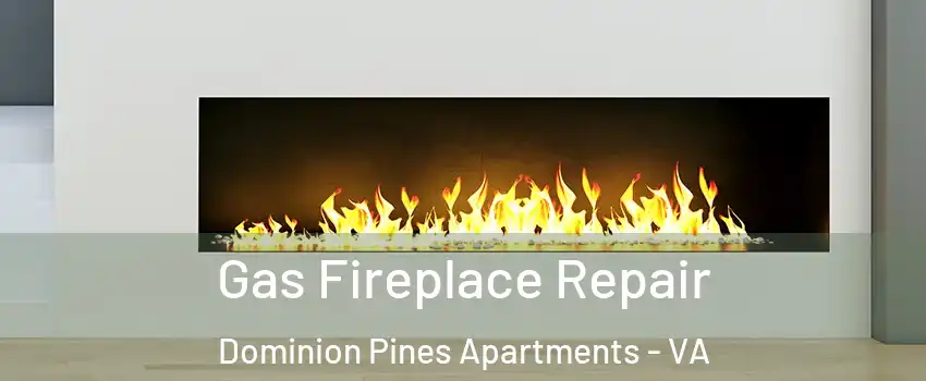 Gas Fireplace Repair Dominion Pines Apartments - VA