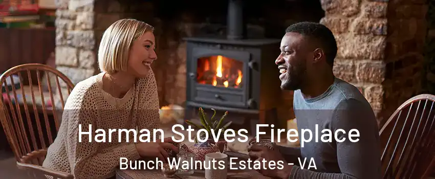 Harman Stoves Fireplace Bunch Walnuts Estates - VA