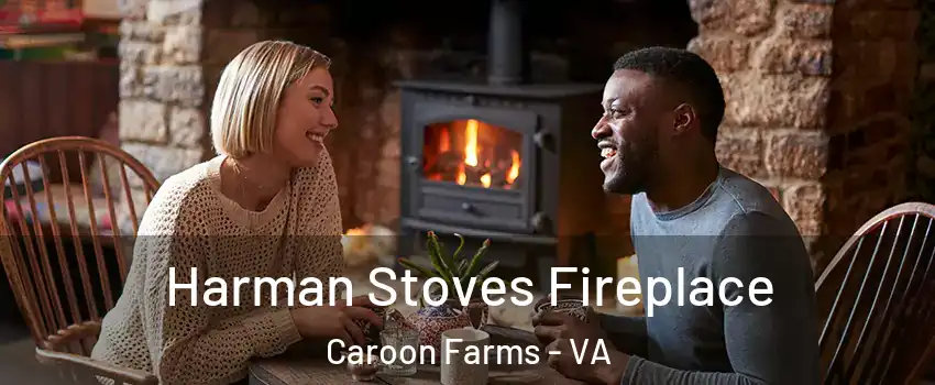 Harman Stoves Fireplace Caroon Farms - VA