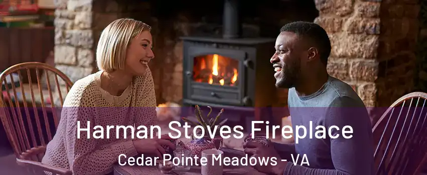Harman Stoves Fireplace Cedar Pointe Meadows - VA