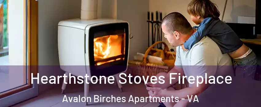 Hearthstone Stoves Fireplace Avalon Birches Apartments - VA
