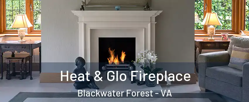 Heat & Glo Fireplace Blackwater Forest - VA