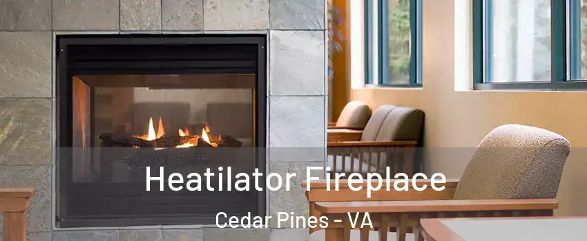 Heatilator Fireplace Cedar Pines - VA