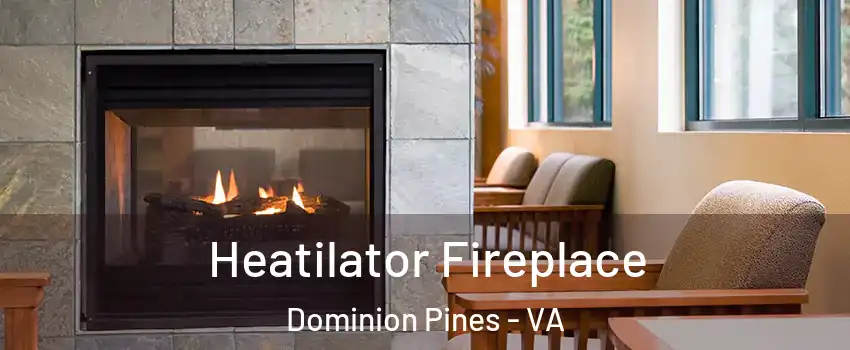 Heatilator Fireplace Dominion Pines - VA