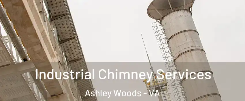 Industrial Chimney Services Ashley Woods - VA