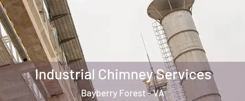 Industrial Chimney Services Bayberry Forest - VA
