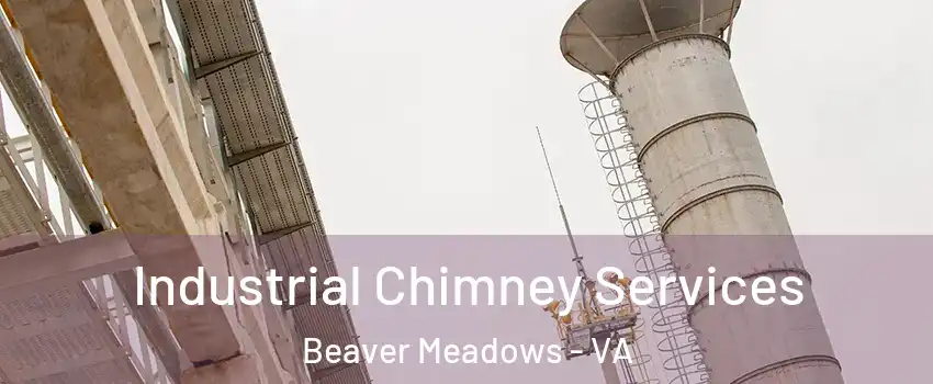 Industrial Chimney Services Beaver Meadows - VA