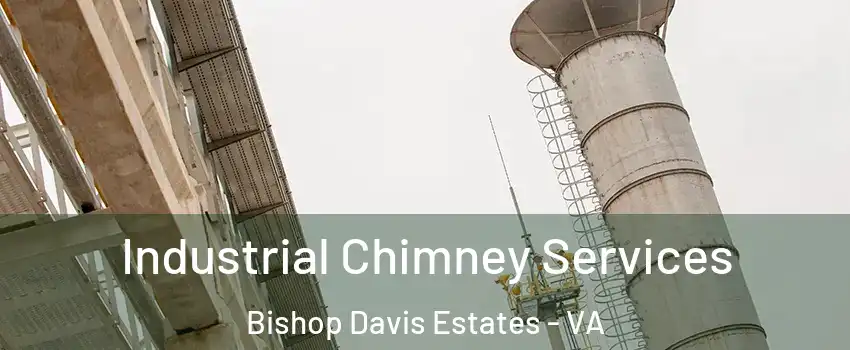 Industrial Chimney Services Bishop Davis Estates - VA