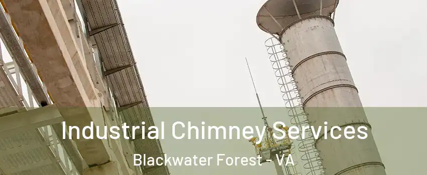 Industrial Chimney Services Blackwater Forest - VA