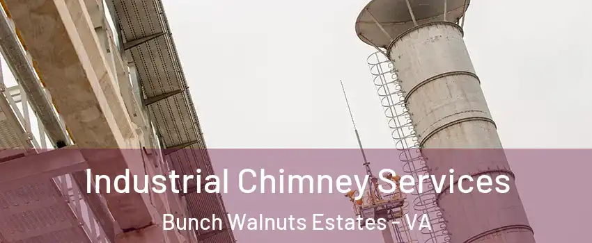 Industrial Chimney Services Bunch Walnuts Estates - VA