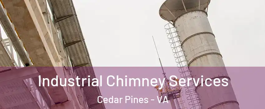 Industrial Chimney Services Cedar Pines - VA