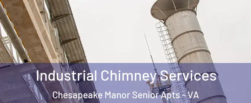 Industrial Chimney Services Chesapeake Manor Senior Apts - VA