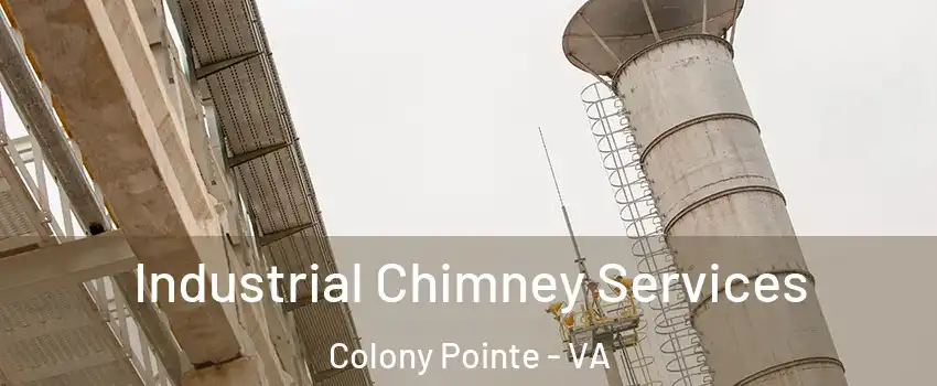 Industrial Chimney Services Colony Pointe - VA