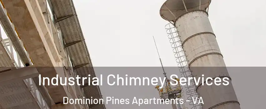 Industrial Chimney Services Dominion Pines Apartments - VA