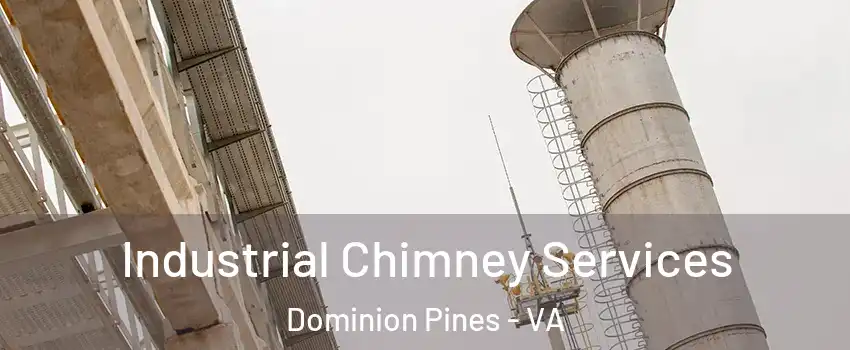 Industrial Chimney Services Dominion Pines - VA