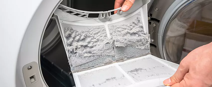 Best Dryer Lint Removal Company in Dominion Village At Chesapeake, Virginia