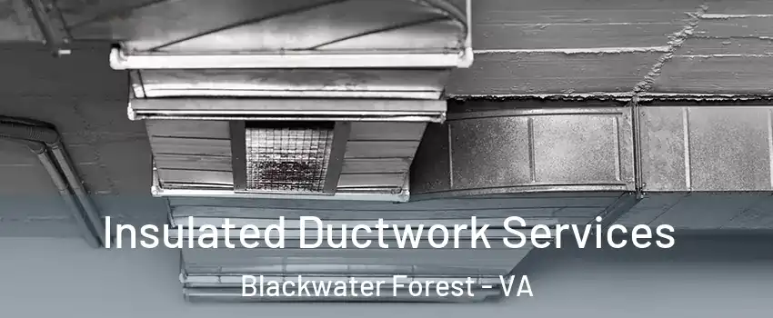Insulated Ductwork Services Blackwater Forest - VA