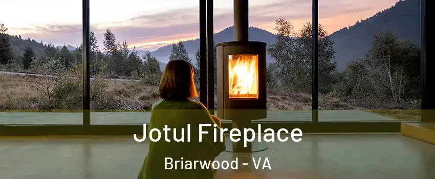 Jotul Fireplace Briarwood - VA
